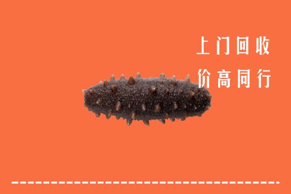 蓟州区回收海参