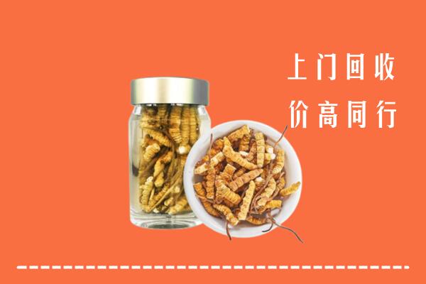 蓟州区回收冬虫夏草