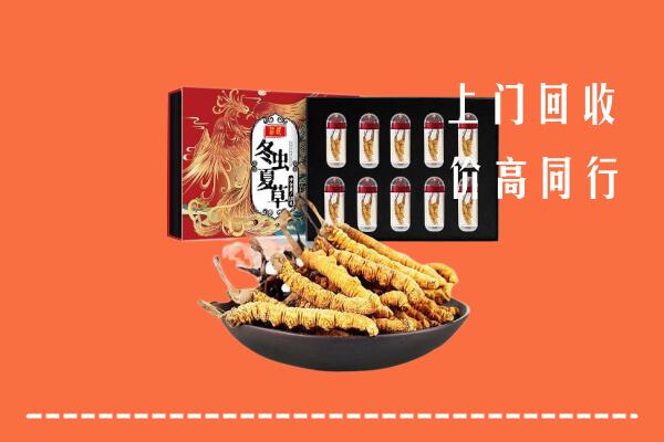 蓟州区回收虫草